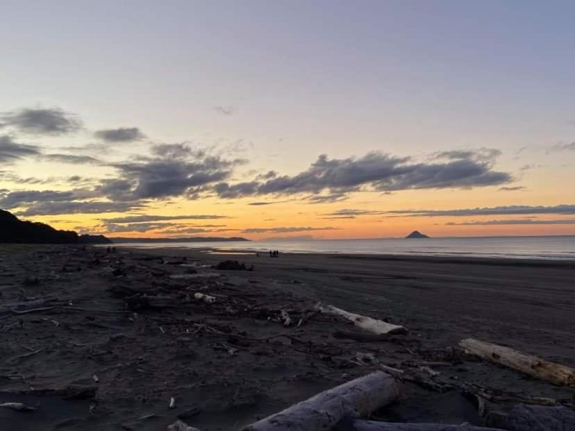 Opotiki - Waiotahe Drifts Beach Pod Eksteriør billede