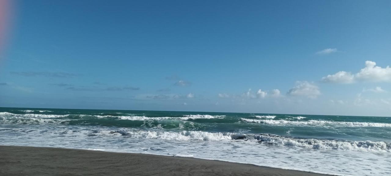 Opotiki - Waiotahe Drifts Beach Pod Eksteriør billede